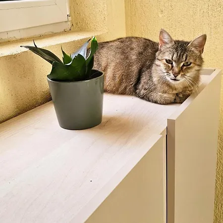 литов